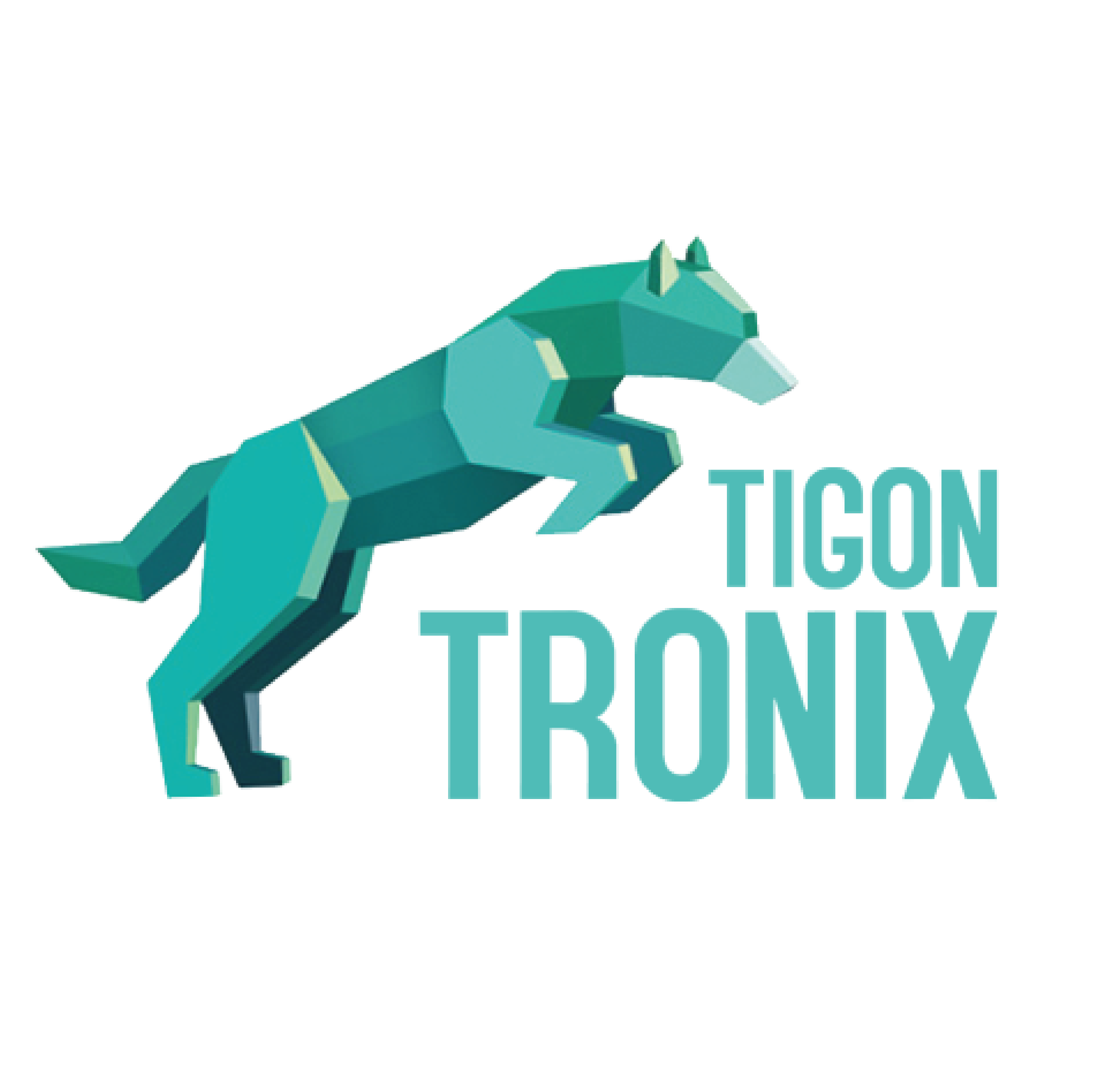 TigonTronix